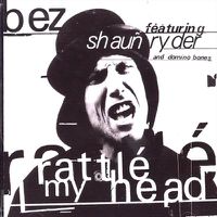 Cover image for Rattle My Head