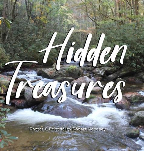 Cover image for Hidden Treasures: An Illustrated Guide to Finding Happiness & Healing in Nature