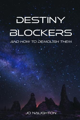 Cover image for Destiny Blockers