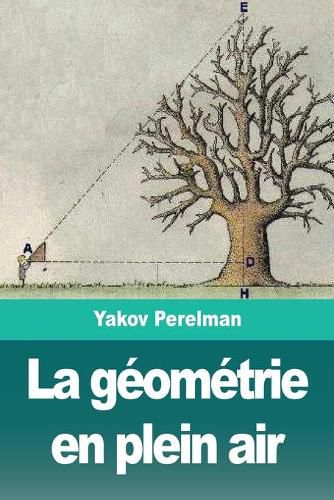 Cover image for La geometrie en plein air