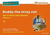 Cover image for Read Write Inc Phonics: Orange Set 4 More Storybook 1 Buddy the stray cat