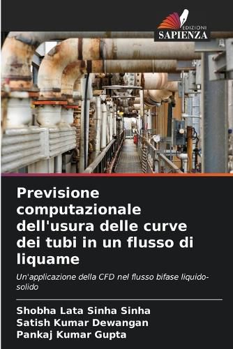 Cover image for Previsione computazionale dell'usura delle curve dei tubi in un flusso di liquame