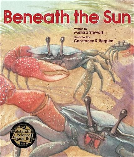 Cover image for Beneath the Sun
