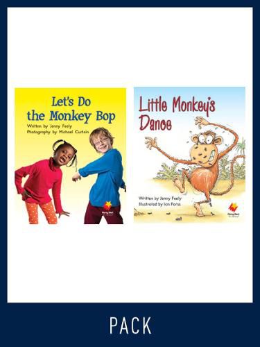 Cover image for Flying Start Guided Reading Pack Level 6, Pack 2: Paired student books (6x6) and lesson plan (1)