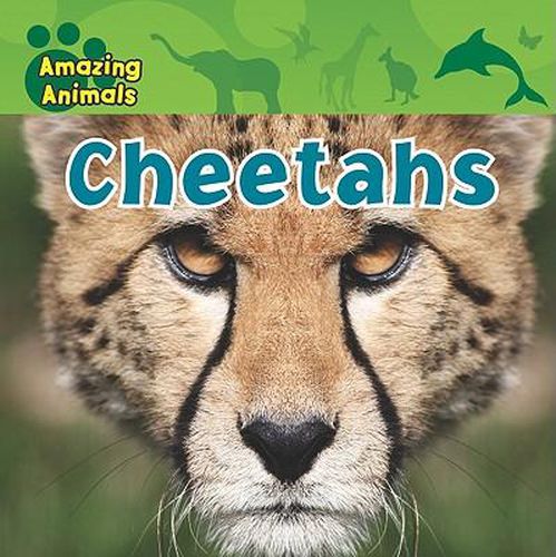 Cover image for Cheetahs