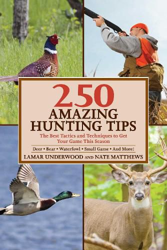 Cover image for 250 Amazing Hunting Tips: The Best Tactics and Techniques to Get Your Game This Season