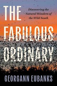 Cover image for The Fabulous Ordinary