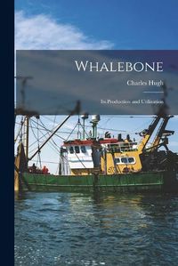 Cover image for Whalebone