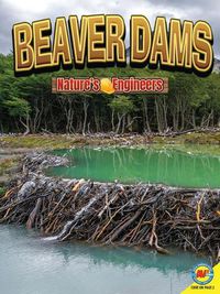 Cover image for Beaver Dams