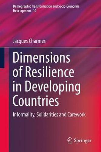 Cover image for Dimensions of Resilience in Developing Countries: Informality, Solidarities and Carework