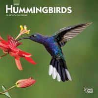 Cover image for Hummingbirds 2020 Mini 7x7