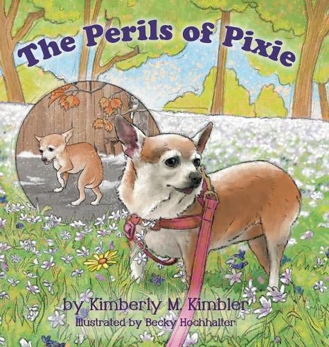 Cover image for The Perils of Pixie