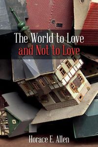 Cover image for The World to Love and Not to Love