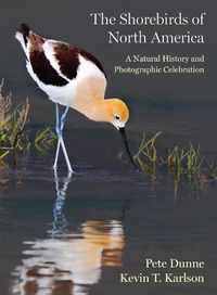 Cover image for The Shorebirds of North America