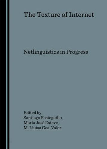 Cover image for The Texture of Internet: Netlinguistics in Progress