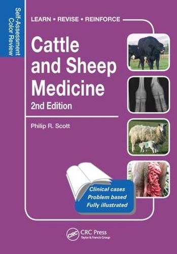 Cover image for Cattle and Sheep Medicine: Self-Assessment Color Review