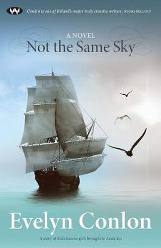 Cover image for Not the Same Sky: A Novel