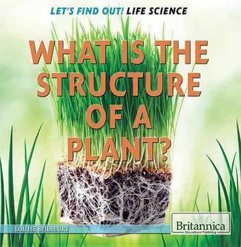 What Is the Structure of a Plant?