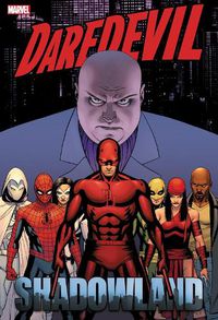 Cover image for Daredevil: Shadowland Omnibus Cassaday Cover (New Printing)