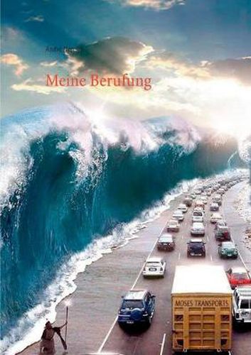 Cover image for Meine Berufung