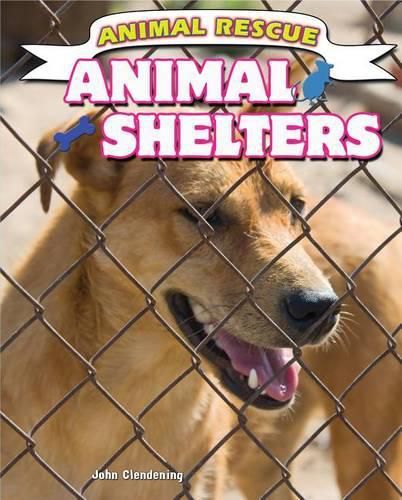 Cover image for Animal Shelters