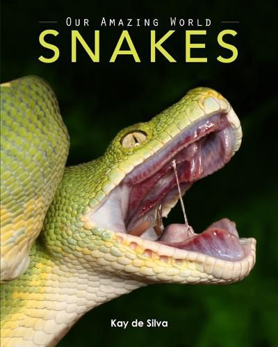 Cover image for Snakes: Amazing Pictures & Fun Facts on Animals in Nature