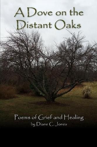 Cover image for A Dove on the Distant Oaks