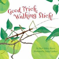 Cover image for Good Trick Walking Stick