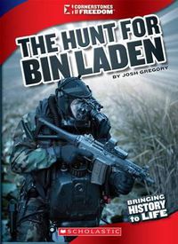 Cover image for The Hunt for Bin Laden