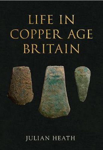 Cover image for Life in Copper Age Britain