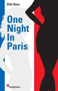 Cover image for One Night in Paris