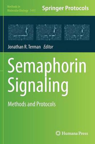 Cover image for Semaphorin Signaling: Methods and Protocols