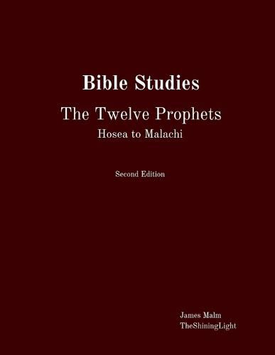 Cover image for Bible Studies The Twelve Prophets Hosea to Malachi