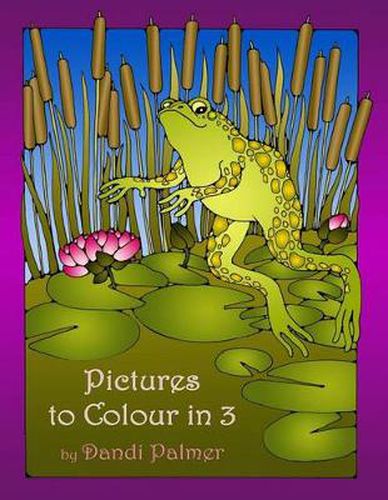 Cover image for Pictures to Colour in 3