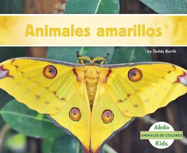 Cover image for Animales Amarillos