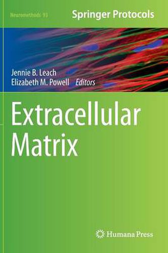 Extracellular Matrix