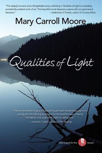 Cover image for Qualities of Light: New Edition