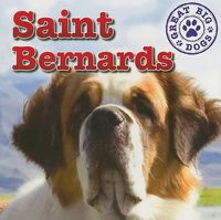 Cover image for Saint Bernards