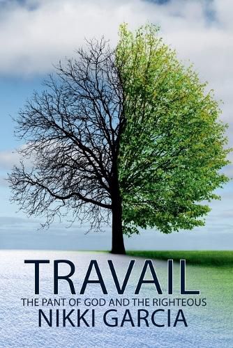 Cover image for Travail