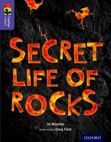 Cover image for Oxford Reading Tree TreeTops inFact: Level 11: Secret Life of Rocks