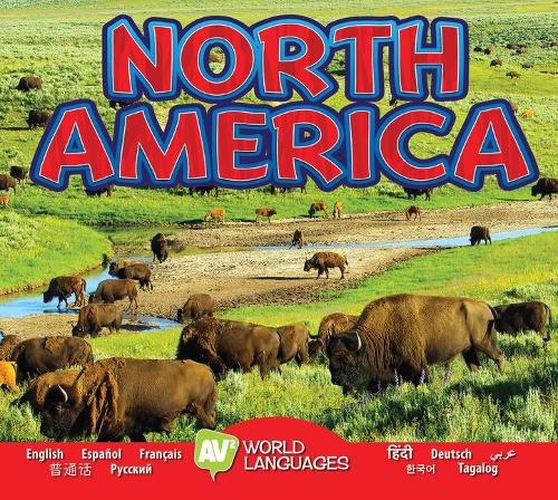 Cover image for North America