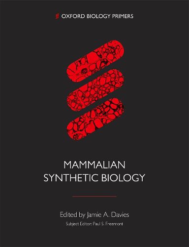 Mammalian Synthetic Biology