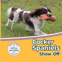 Cover image for Cocker Spaniels Show Off