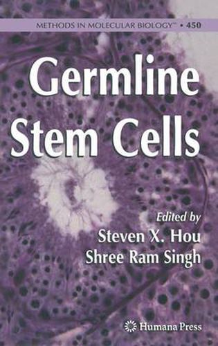 Cover image for Germline Stem Cells