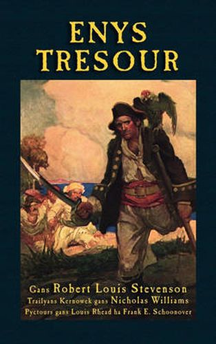 Cover image for Enys Tresour