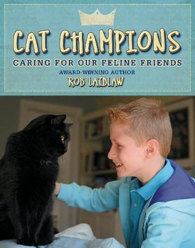 Cat Champions: Caring for our Feline Friends