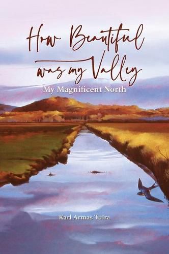 Cover image for How Beautiful Was My Valley