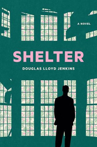 Cover image for Shelter: A Novel