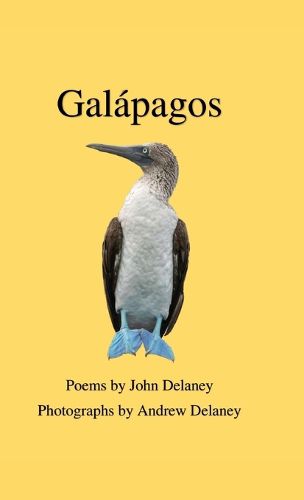 Cover image for Galapagos