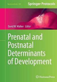 Cover image for Prenatal and Postnatal Determinants of Development